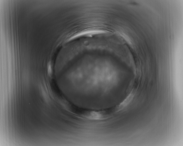 X0000099950166200805301243