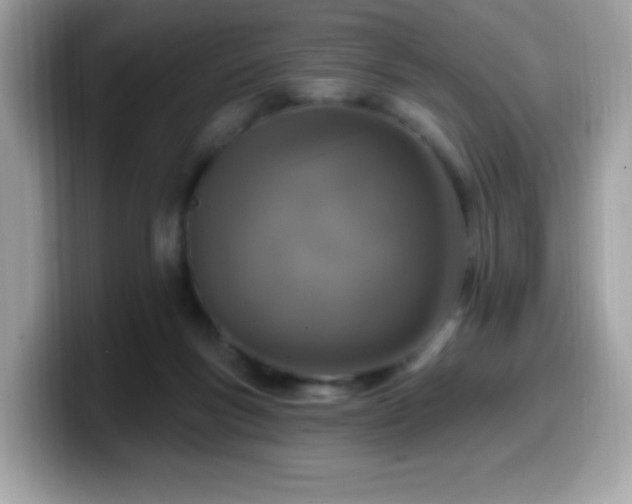 X0000099950167200805301243