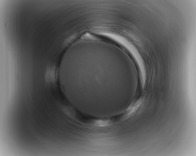 X0000099950168200805301243