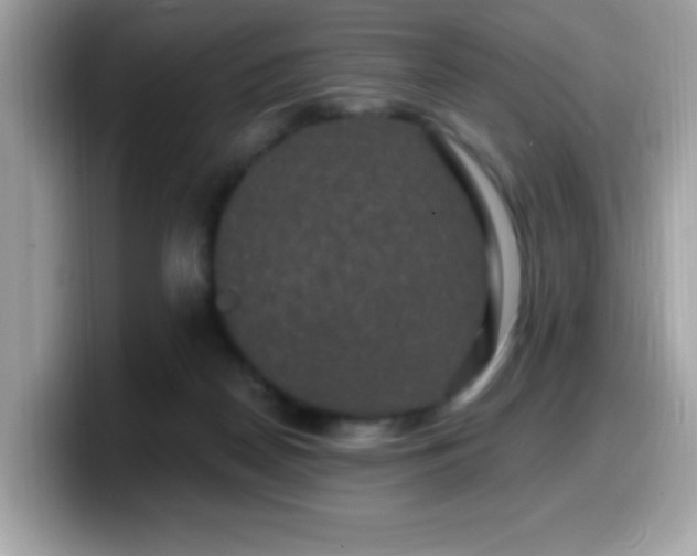 X0000099950170200805301243