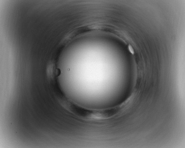 X0000099950171200805301243