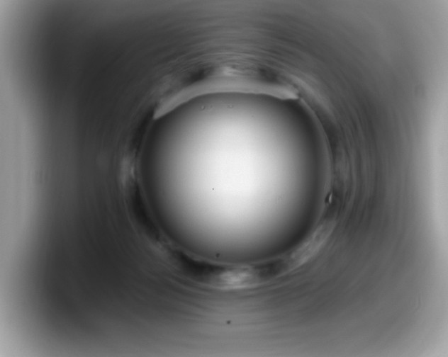 X0000099950172200805301243