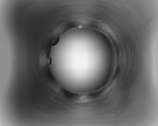 X0000099950173200805301243