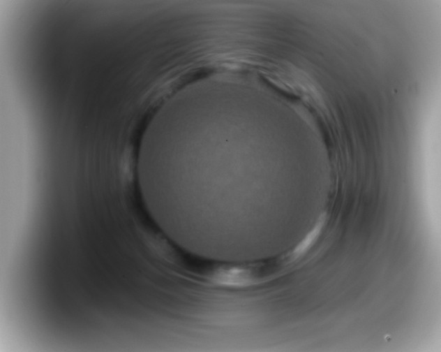 X0000099950174200805301243