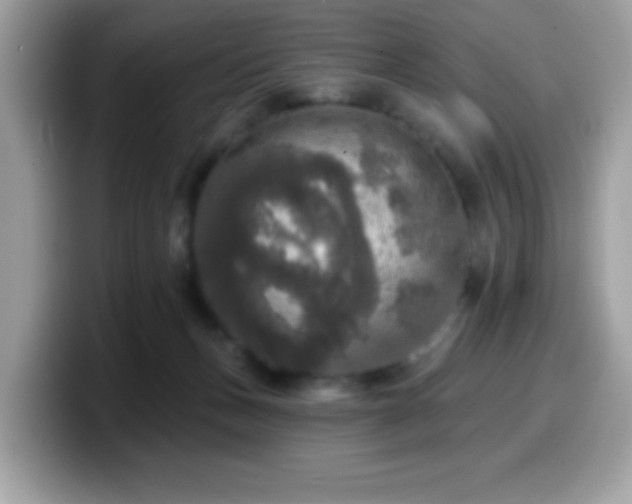 X0000099950175200805301243