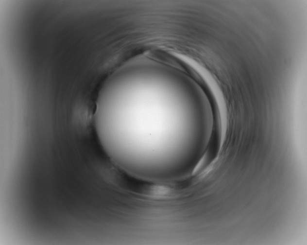 X0000099950176200805301243