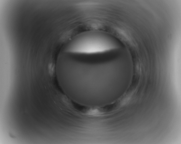 X0000099950177200805301243