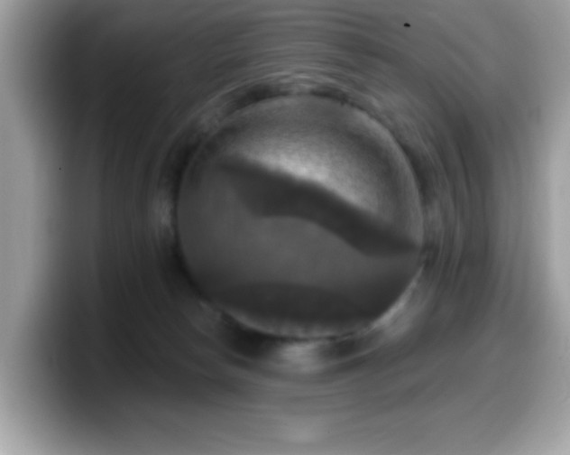 X0000099950178200805301243