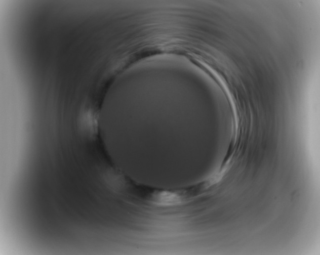 X0000099950180200805301243