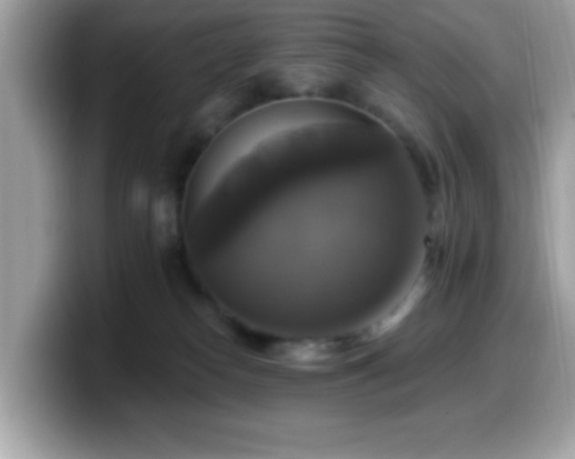 X0000099950182200805301243