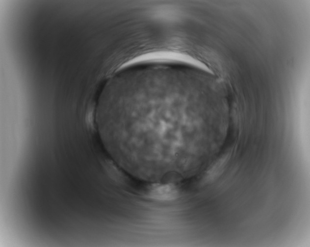 X0000099950185200805301243