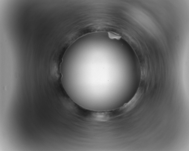 X0000099950187200805301243