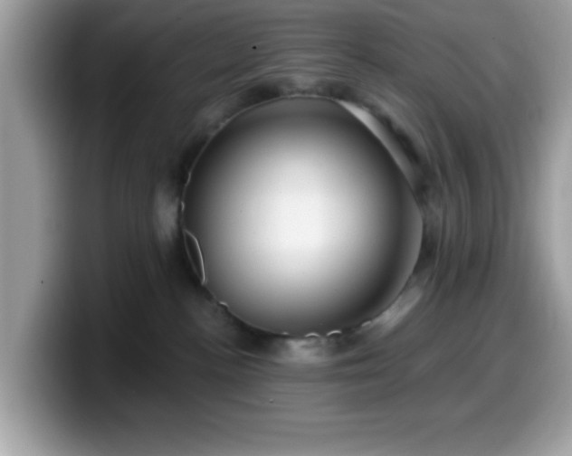 X0000099950188200805301243
