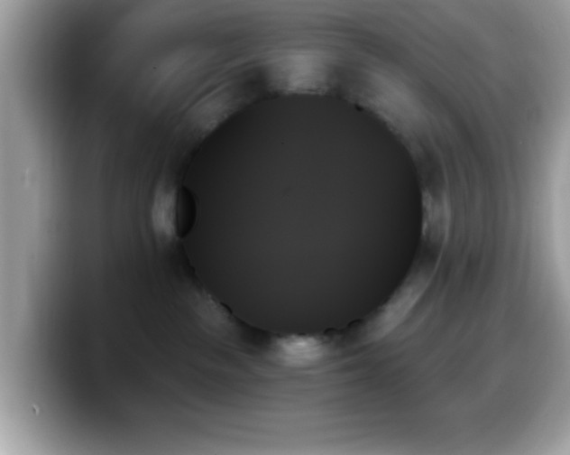X0000099950189200805301243