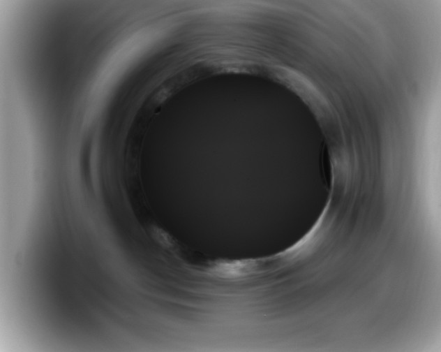 X0000099950190200805301243