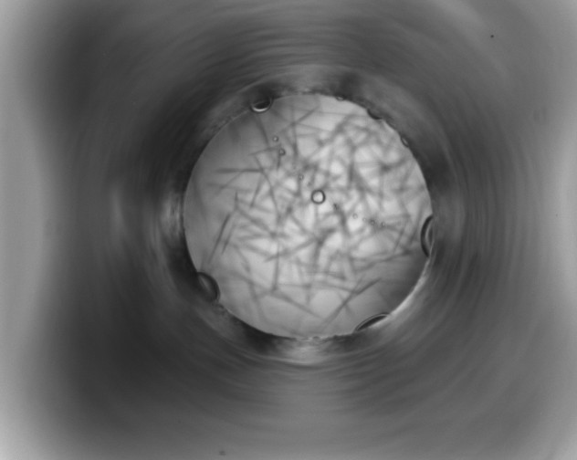 X0000099950191200805301243