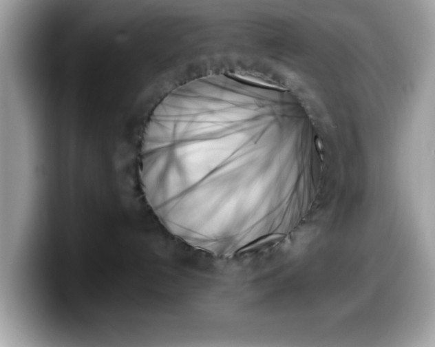 X0000099950192200805301243