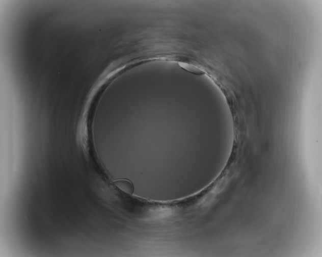 X0000099950198200805301242