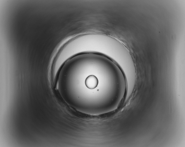 X0000099950200200805301242
