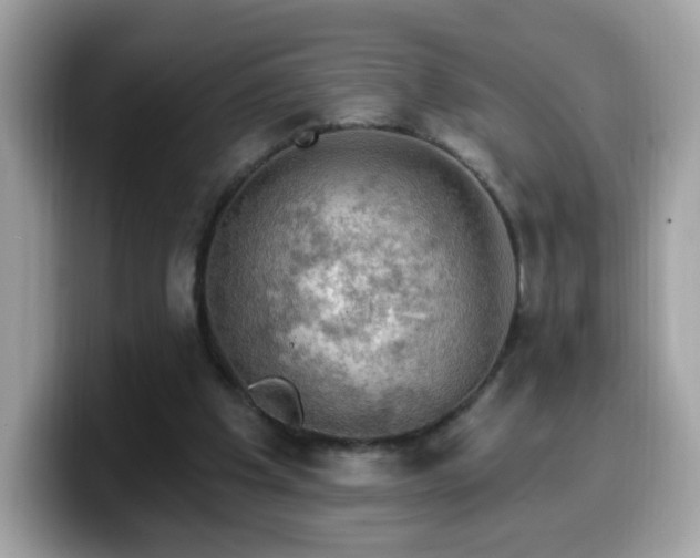 X0000099950201200805301242