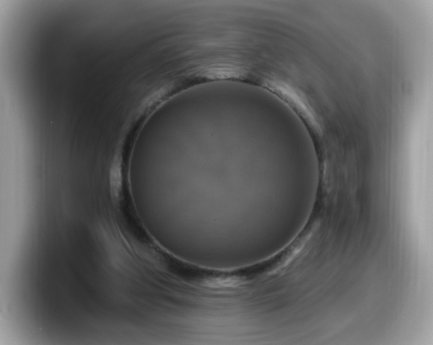 X0000099950202200805301242