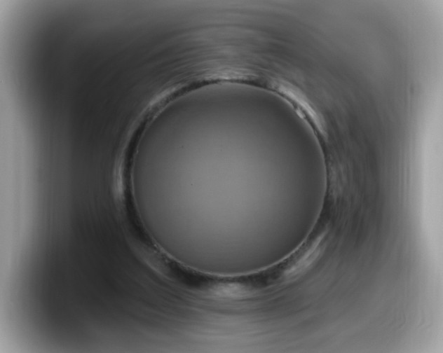 X0000099950203200805301242