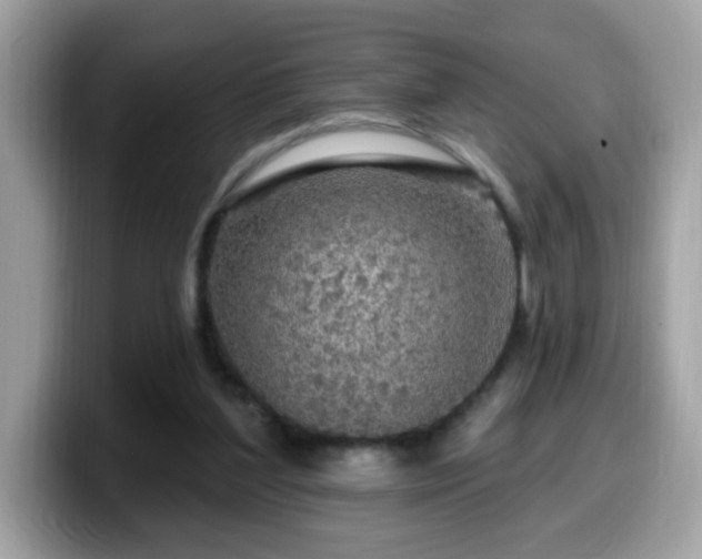 X0000099950204200805301242