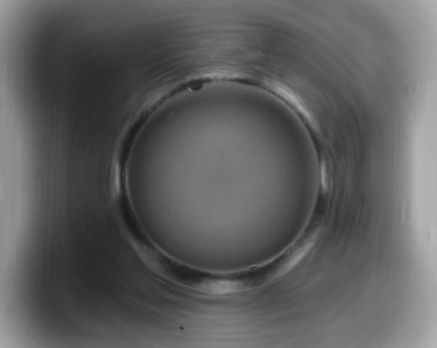 X0000099950205200805301242