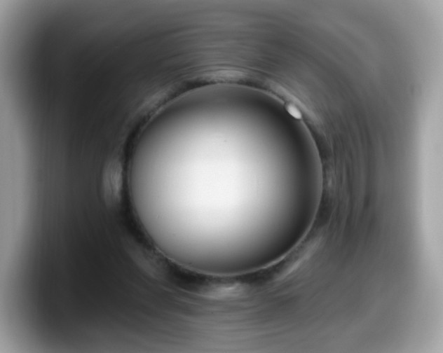 X0000099950206200805301242