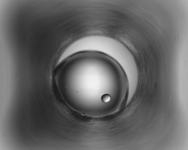 X0000099950207200805301242