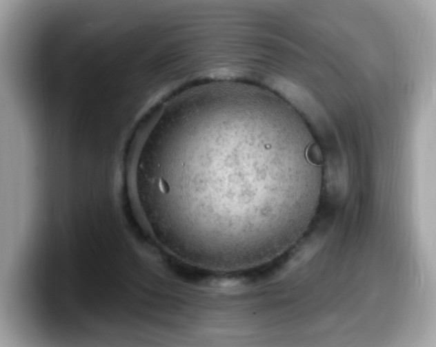 X0000099950208200805301242
