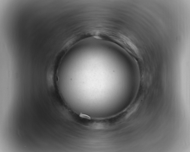 X0000099950209200805301242