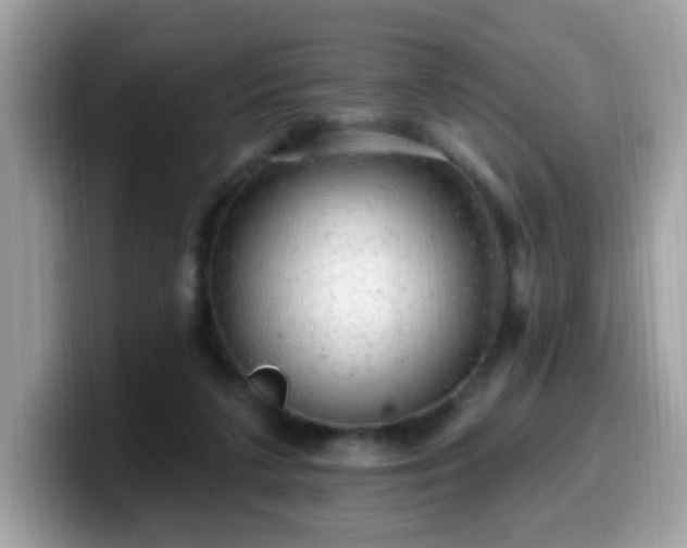 X0000099950211200805301242