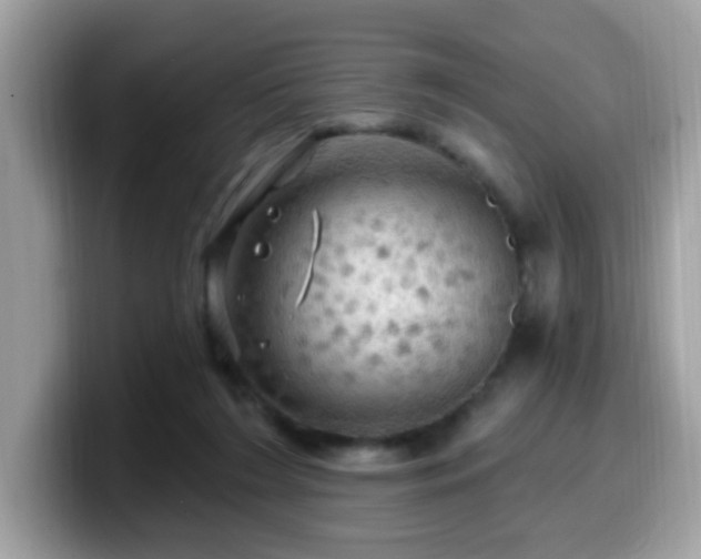 X0000099950212200805301242
