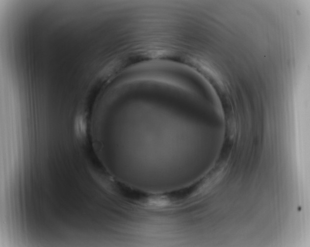 X0000099950214200805301242