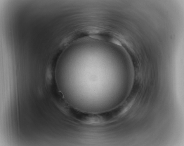 X0000099950215200805301242