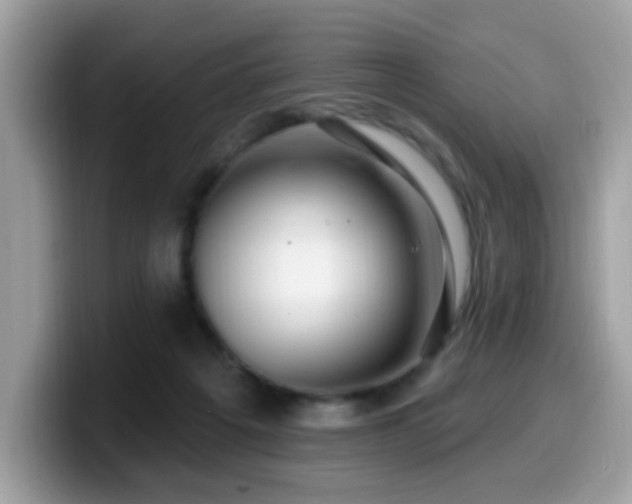 X0000099950217200805301242