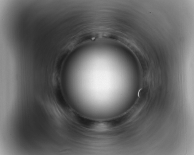 X0000099950218200805301242