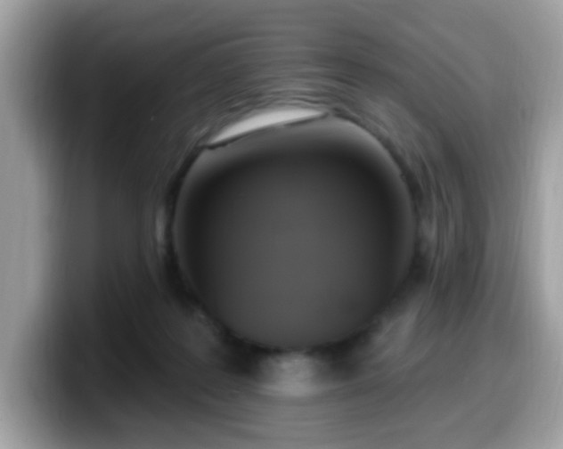 X0000099950219200805301242