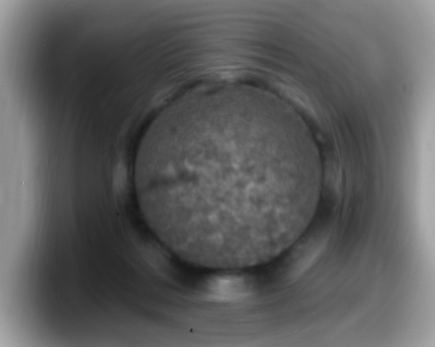 X0000099950220200805301242