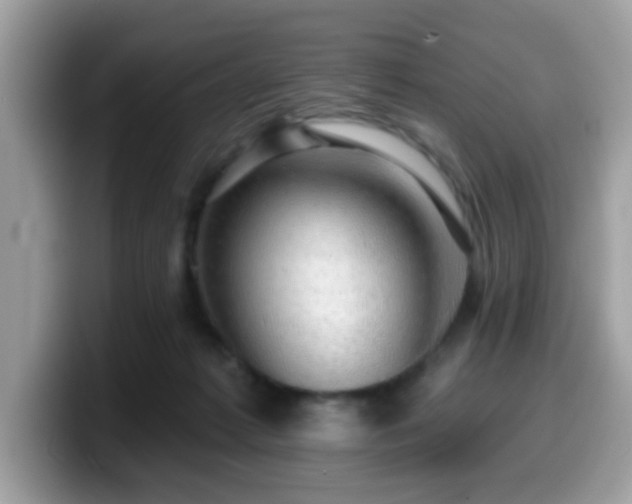 X0000099950221200805301242