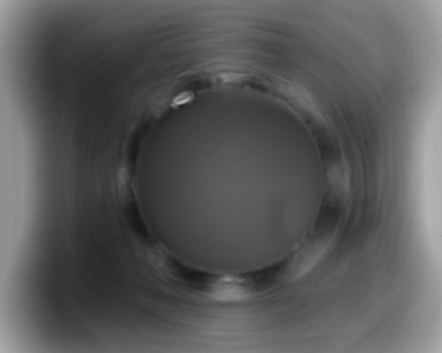 X0000099950222200805301242