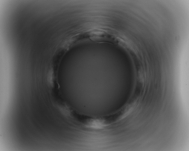 X0000099950223200805301242