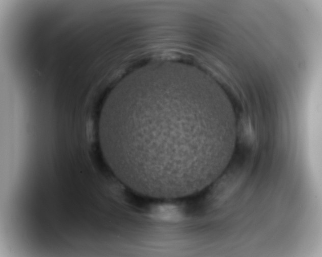 X0000099950224200805301242