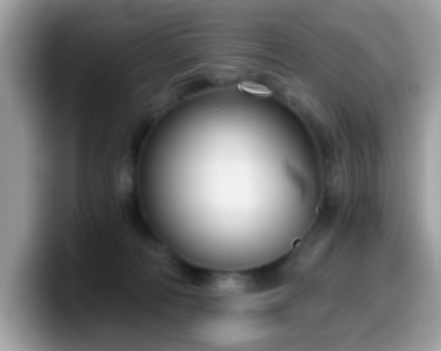 X0000099950226200805301242