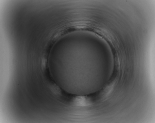 X0000099950227200805301242