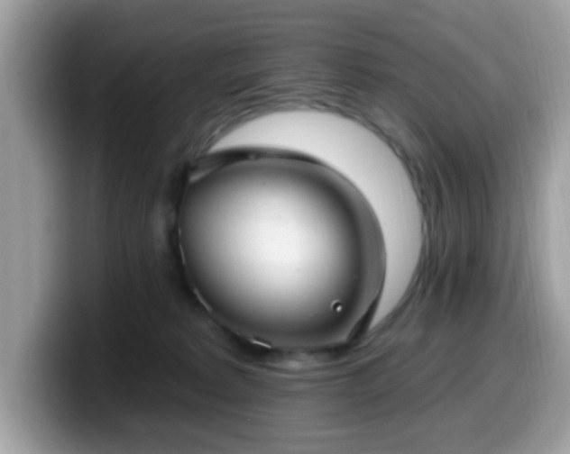 X0000099950229200805301242