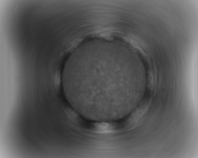 X0000099950230200805301242