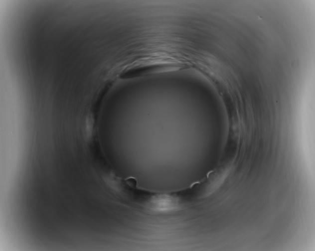 X0000099950231200805301242