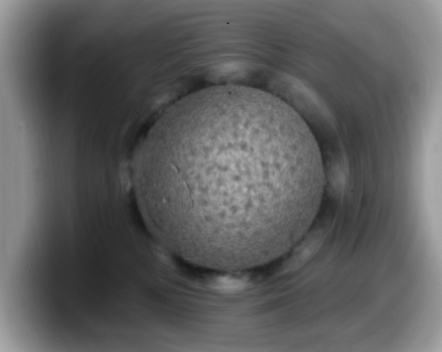 X0000099950232200805301242